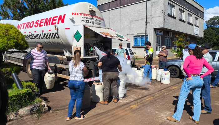 Guaraniaçu - Secretaria de Agricultura lança Programa de Inseminação para fortalecer a produção de leite